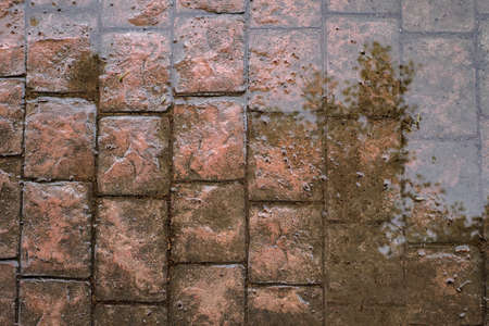 stamped concrete pavement, slate stone tile on cement stones patternの写真素材