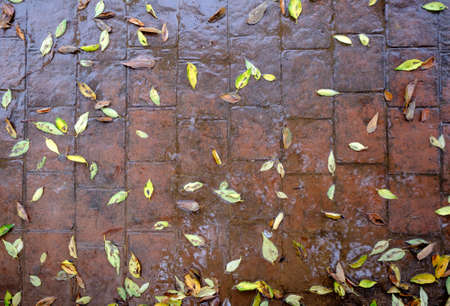 stamped concrete pavement, slate stone tile on cement stones patternの写真素材