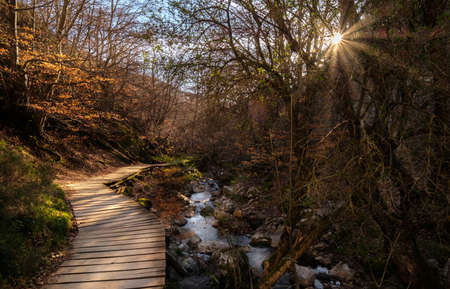 Faedo de Cinera Beech forest and river, wooden footbridge hiking trail Leon Spainの写真素材