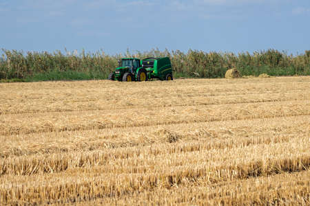 making bales tractor working in rice harvest seasonの写真素材