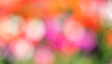 blurred multi colored red, orange, violet and green colorful dots background abstract bokeh flowers, flowery springの写真素材