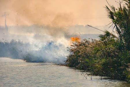 burning rice farmers straw in Albufera de Valencia Spain, burning rice stubble pollution environmental problem, smoke dark cloudsの写真素材
