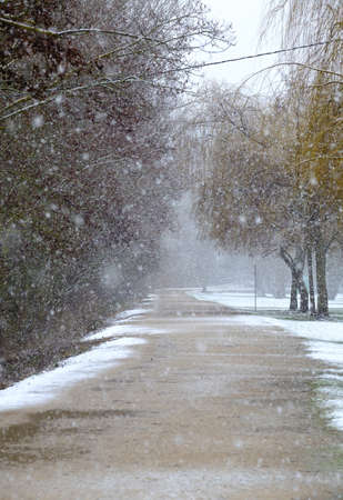 Candamia park snowy day in winter, Leon city Spain, garden area on the banks of the Torio riverの写真素材