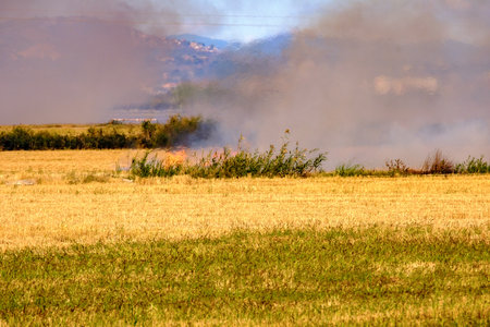 Burning of rice stubble burning straw in rice farmers in Albufera Valencia Spain, pollution environmental problem, dark sky cloudsの写真素材