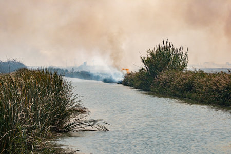 burning rice farmers straw in Albufera de Valencia Spain, burning rice stubble pollution environmental problem smokeの写真素材
