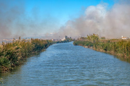 Burning of rice stubble burning straw in rice farmers in Albufera Valencia Spain, pollution environmental problem, dark sky cloudsの写真素材