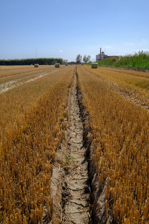 dry and cracked land drought climate problem, affects agriculture. Harvest problemsの写真素材