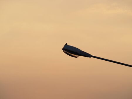 street lampの写真素材