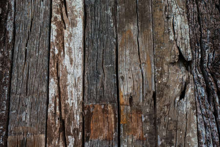 Wood texture. background old panelsの写真素材