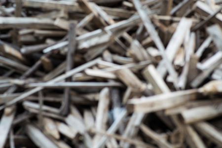 Wood pile  backgroundの写真素材