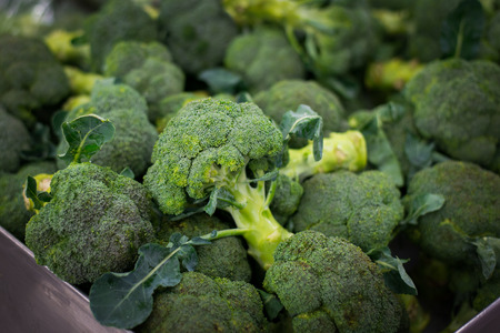 Broccoli in a pile on a farm standの写真素材