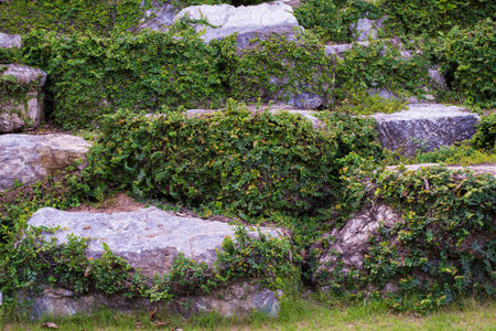 wall stone