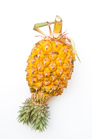 Pineapple isolated on white backgroundの写真素材
