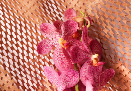 Pink orchids on brown paper texture.の写真素材
