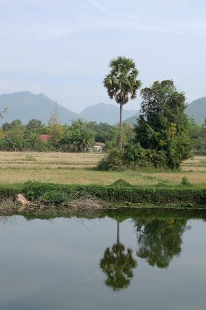 field vintage landscape in thailandの写真素材