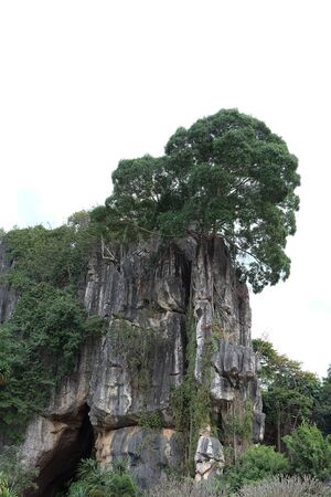 Suan Hin Pha Ngam or Thailand's Kunming A limestone garden in Loei Thailandの写真素材