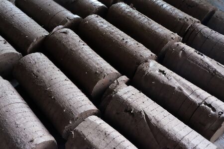 soil stick with cut.の写真素材