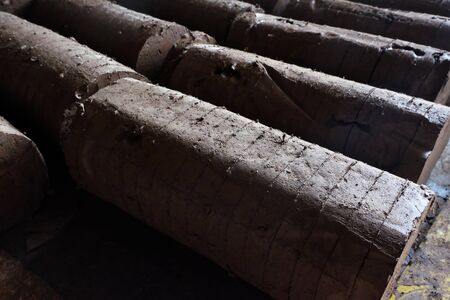 soil stick with cut.の写真素材