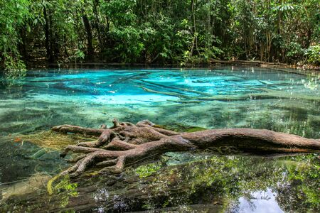 View of EMERALD POOL in forest at thailandの写真素材