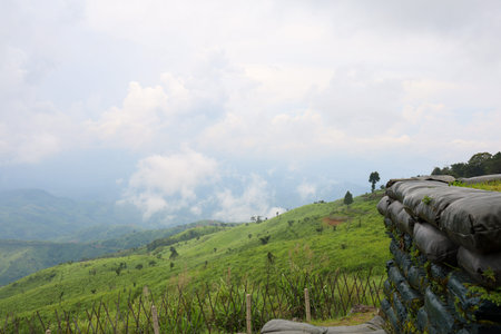 view of landscape is green grass on nature mountain in rainny season at thailand
