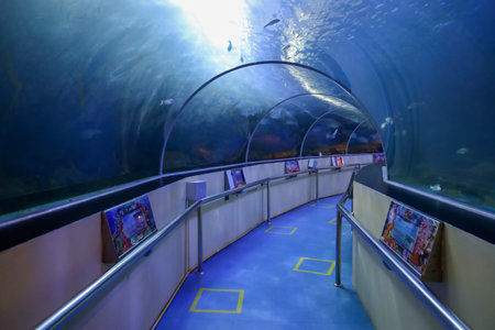 Prachuap khiri khan,Thailand-October 10,2020:The walk way in The Waghor aquarium is museum underwater at thailandのeditorial素材