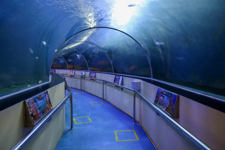 Prachuap khiri khan,Thailand-October 10,2020:The walk way in The Waghor aquarium is museum underwater at thailandのeditorial素材