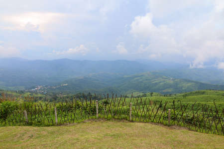 view of landscape is green grass on nature mountain in rainny season at thailandの写真素材