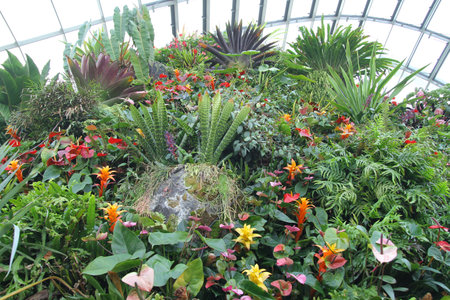 Garden by the bay ,Singapore- April 11 ,2016 :Interior flowers Dome in Gardens by the Bay at singapore.のeditorial素材