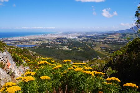 Panoramic view of the cape town areaの写真素材