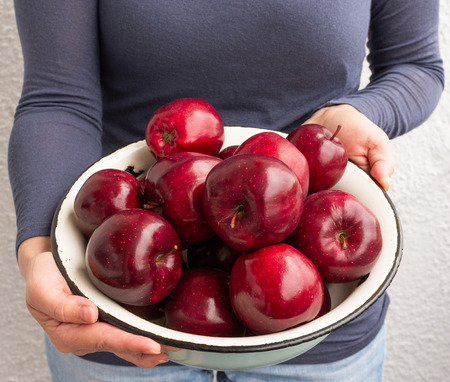 Metal Bowl with Fresh Red Apples in Female Hands, Autumn Garden Applesの写真素材