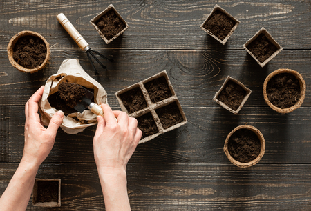 Woman pours ground in the eco friendly pots to plant seedlings,pots on wooden background, small bag with ground and garden trowel and rakesの写真素材