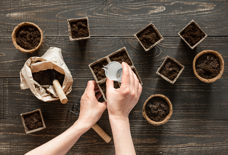 Woman watering the ground with seedlings, eco friendly pots on wooden background, small bag with ground and garden trowel and rakesの写真素材