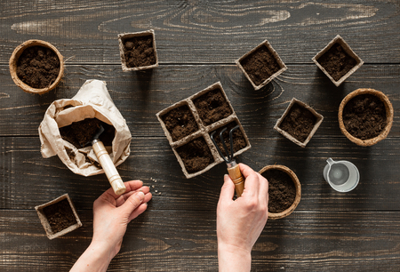 Woman plants seedlings in the eco friendly pots , pots on wooden background, small bag with ground and garden trowel and rakesの写真素材