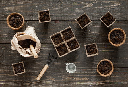 Seedlings planted in the ground and watered, eco friendly pots on wooden background, small bag with ground and garden trowel and rakesの写真素材