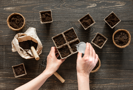 Woman watering the ground with seedlings, eco friendly pots on wooden background, small bag with ground and garden trowel and rakesの写真素材