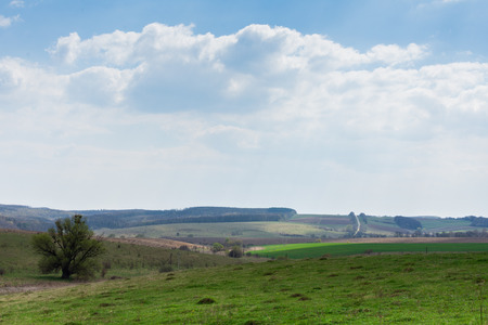 Sunny spring day in nature, fields and meadows, natural background, landscapeの写真素材