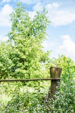 Place in the garden for drying laundry, village lifeの写真素材