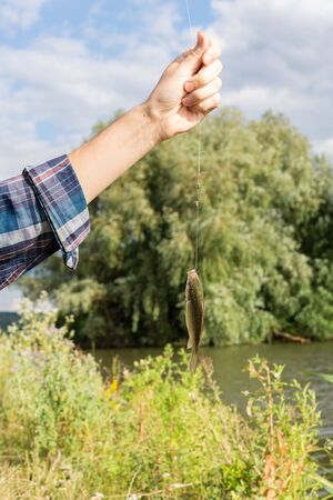 A good catch, fisherman holds fishing line with caught fish,little crucian on a fishing rod hookの写真素材