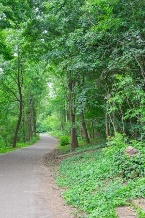 Cozy paths in the park Volkspark Prenzlauer Bergの写真素材