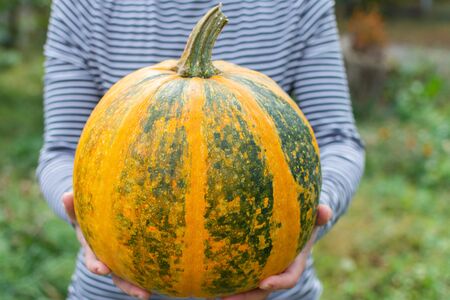 Farmer holding an orange ripened pumpkin, fresh organic vegetables from the gardenの写真素材