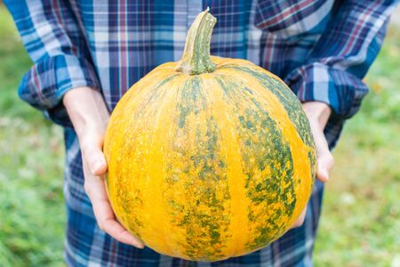 Farmer holding an orange ripened pumpkin, fresh organic vegetables from the gardenの写真素材