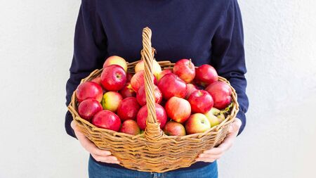 Woman holds a big wicker basket with red and yellow apples on a background of a white wall, fresh harvest from the gardenの写真素材