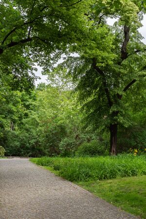 Walk on a warm sunny day in the park Volkspark Friedrichshain in Berlin, cozy paths and green lawnsの写真素材
