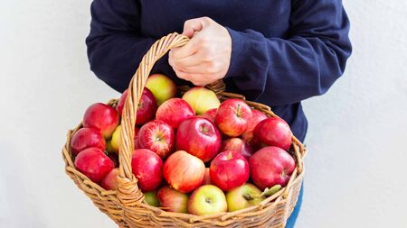 Woman holds a big wicker basket with red and yellow apples on a background of a white wall, fresh harvest from the gardenの写真素材