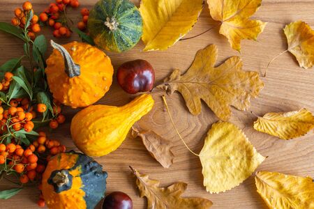 Fallen leaves of trees and chestnut fruits, decorative pumpkins and rowan on wooden background, autumn backgroundの写真素材