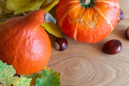 Autumn background with orange pumpkins and leaves of maple, oak and grape and chestnut fruitsの写真素材