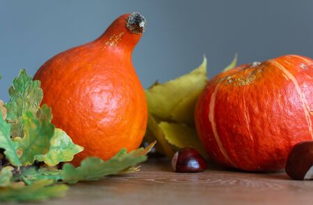 Autumn background with orange pumpkins and leaves of maple, oak and grape and chestnut fruitsの写真素材