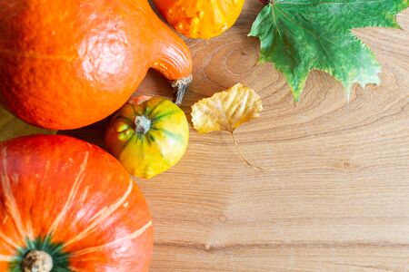 Autumn background with orange pumpkins and leaves of maple, oak and grape and chestnut fruitsの写真素材