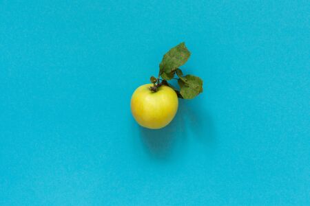 Fresh organic yellow apple with leaves in the center on blue backgroundの写真素材