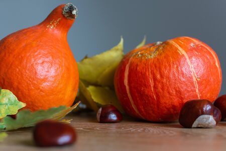 Autumn background with orange pumpkins and leaves of maple, oak and grape and chestnut fruitsの写真素材
